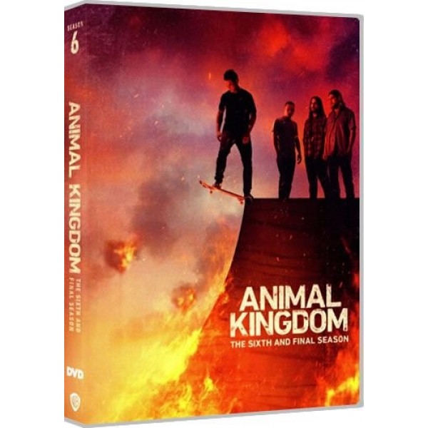 Animal Kingdom Season 6 DVD Box Set